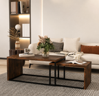 Ensemble de 2 Tables Basses Haut de Gamme