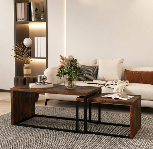 Ensemble de 2 Tables Basses Haut de Gamme