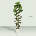 Ficus Lyrata Artificiel Haut de Gamme 180 cm